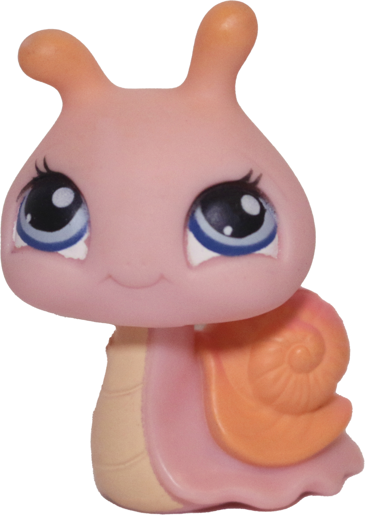 #0262 Snail