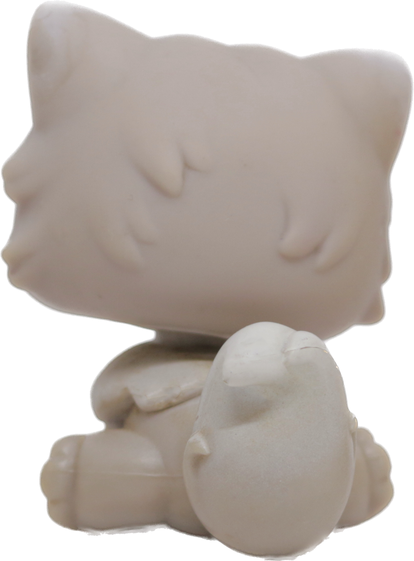 #0263 Persian Cat