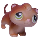 #0289 Ferret