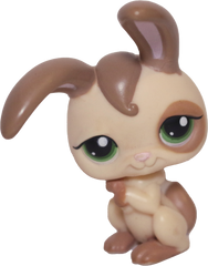 #0313 Rabbit