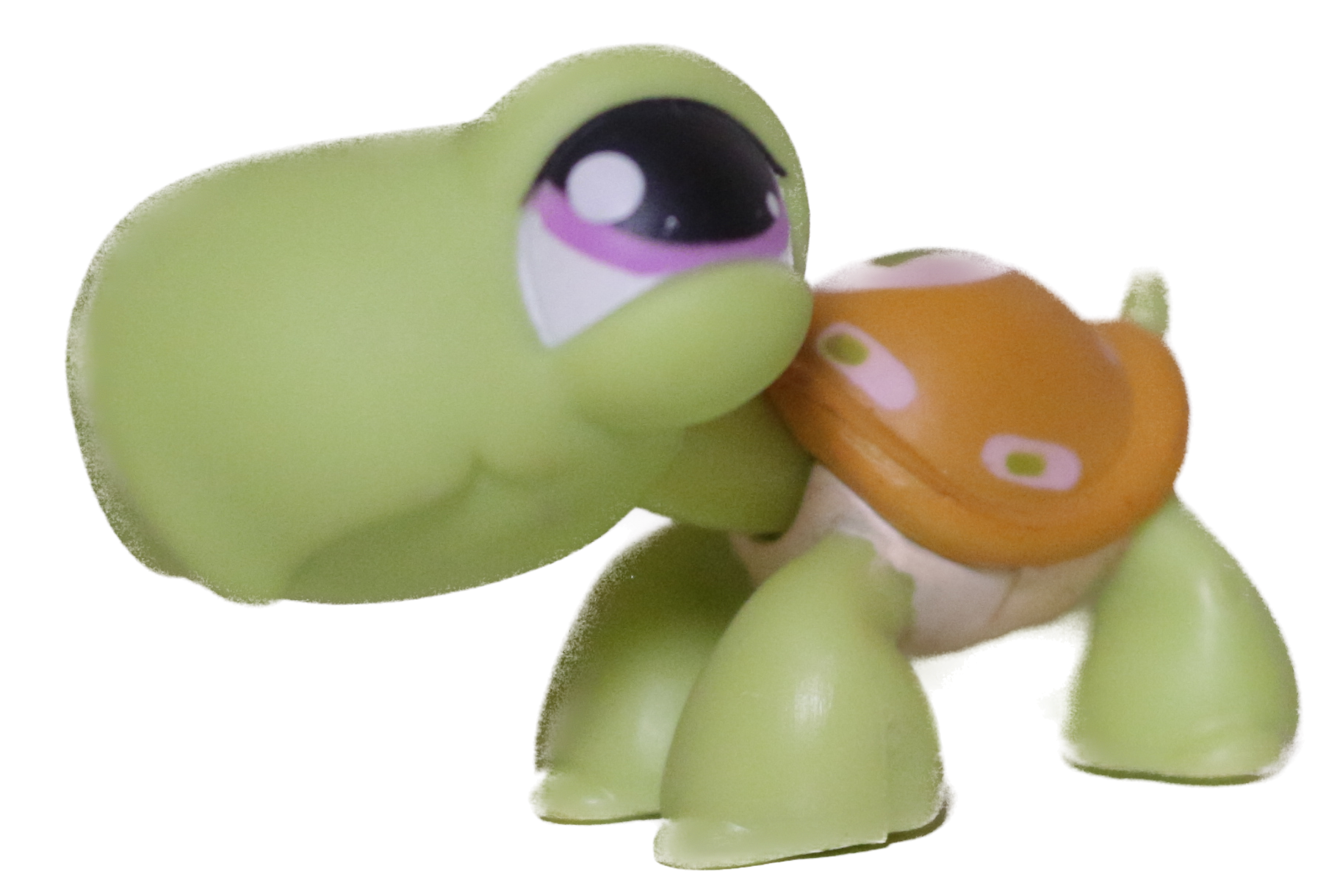 #0350 Turtle