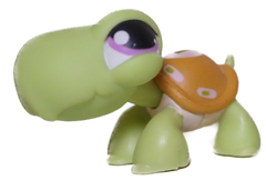 #0350 Turtle