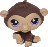 #0359 Chimpanzee
