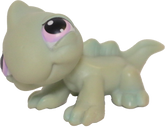 #0374 Iguana