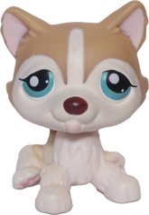 #0386 Husky