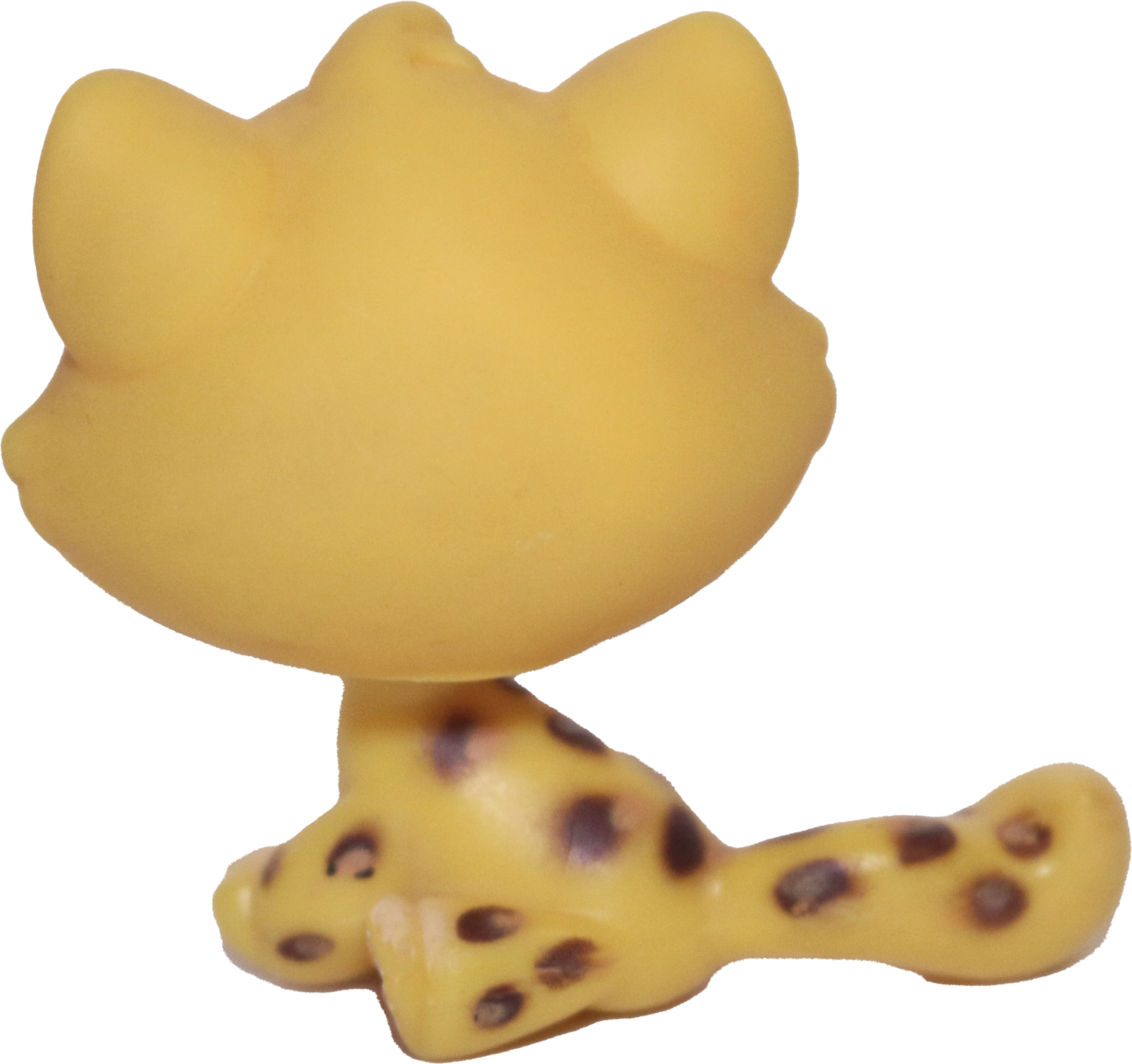 #0388 Sitting Bonbon Cat