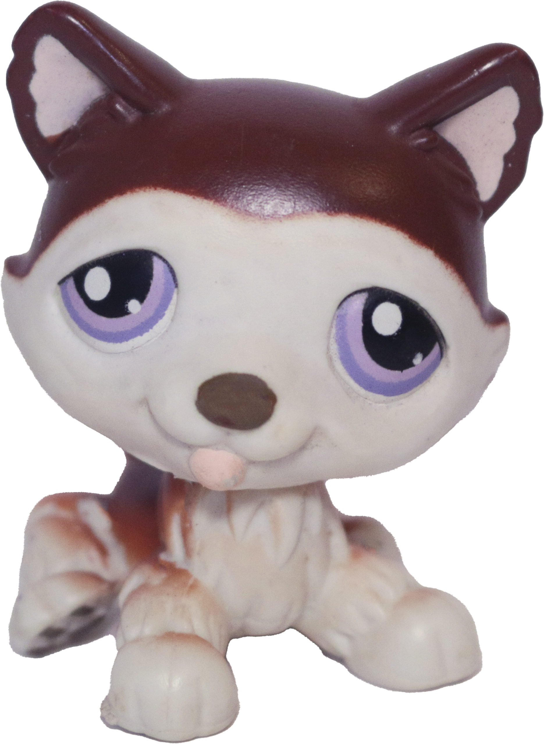 #0427 Husky