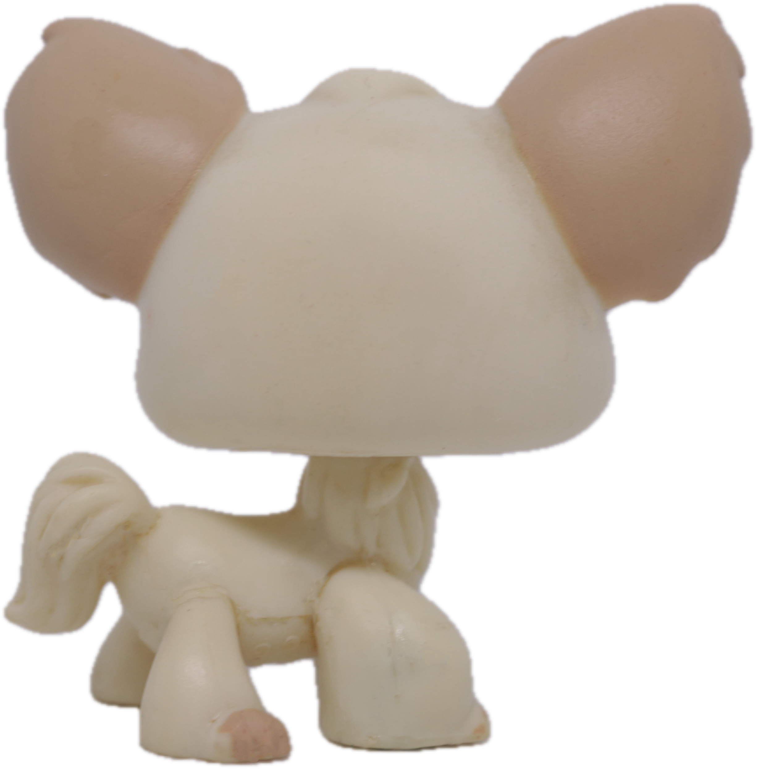 #0438 Chihuahua