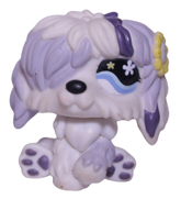 #0466 Sheepdog
