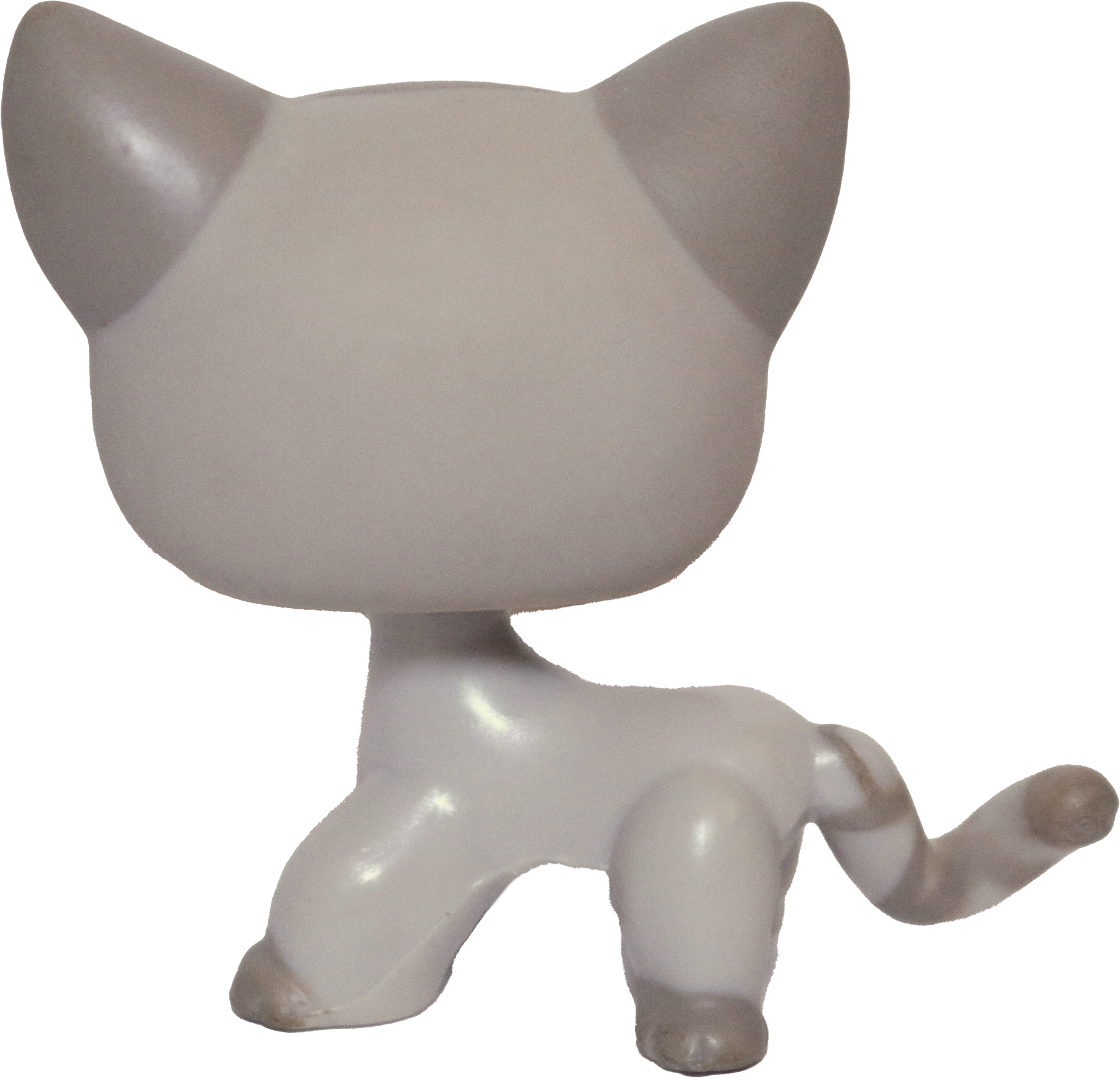 #0483 Shorthair Cat
