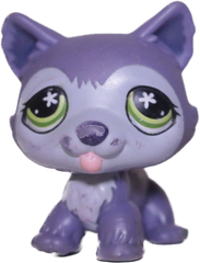 #0487 Husky