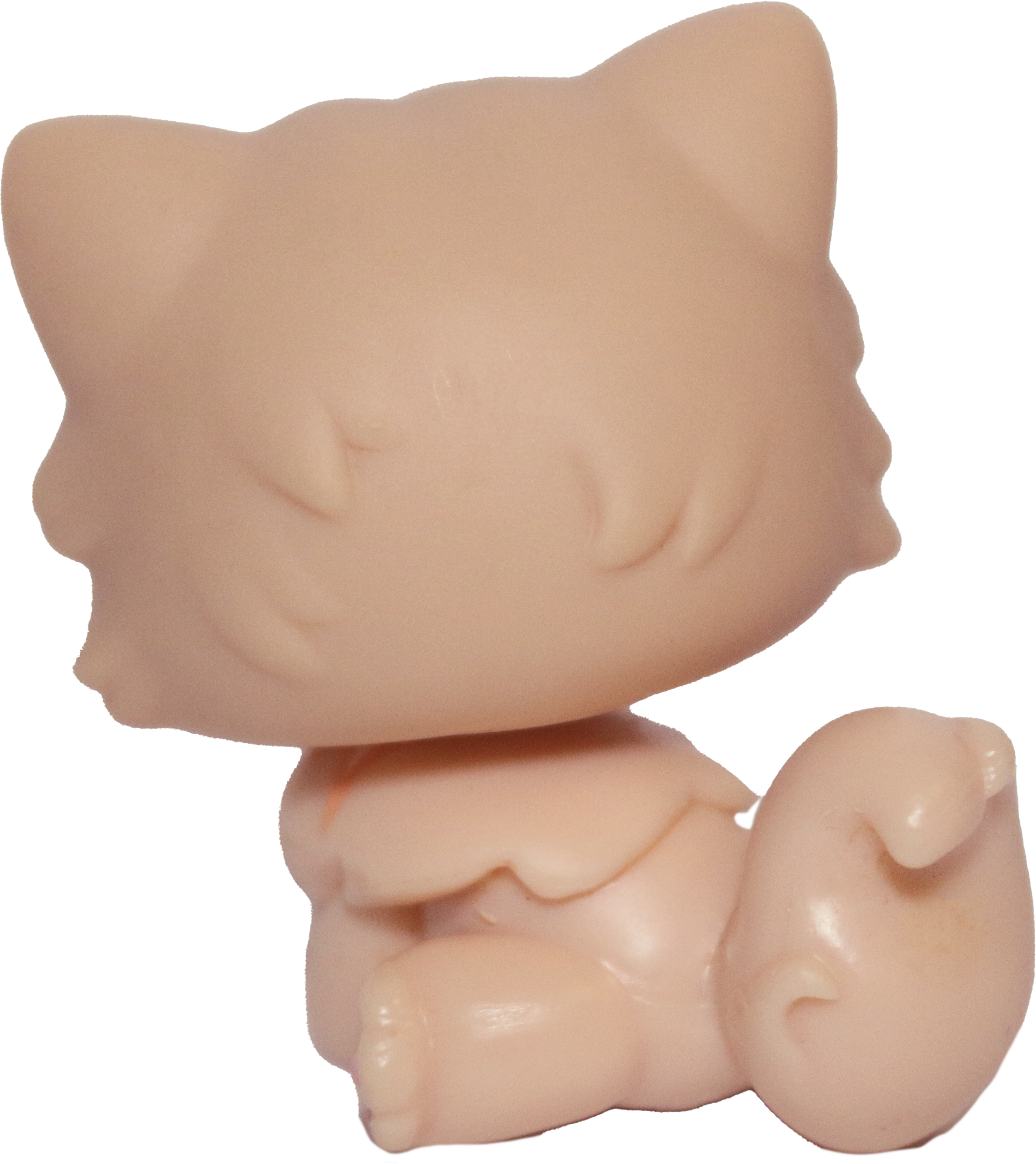 #0490 Persian Cat