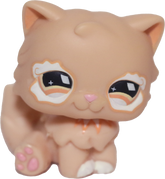 #0490 Persian Cat