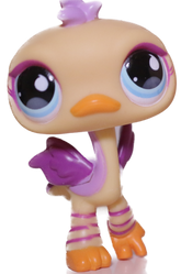 #0516 Ostrich