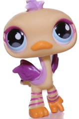 #0516 Ostrich