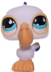 #0517 Pelican