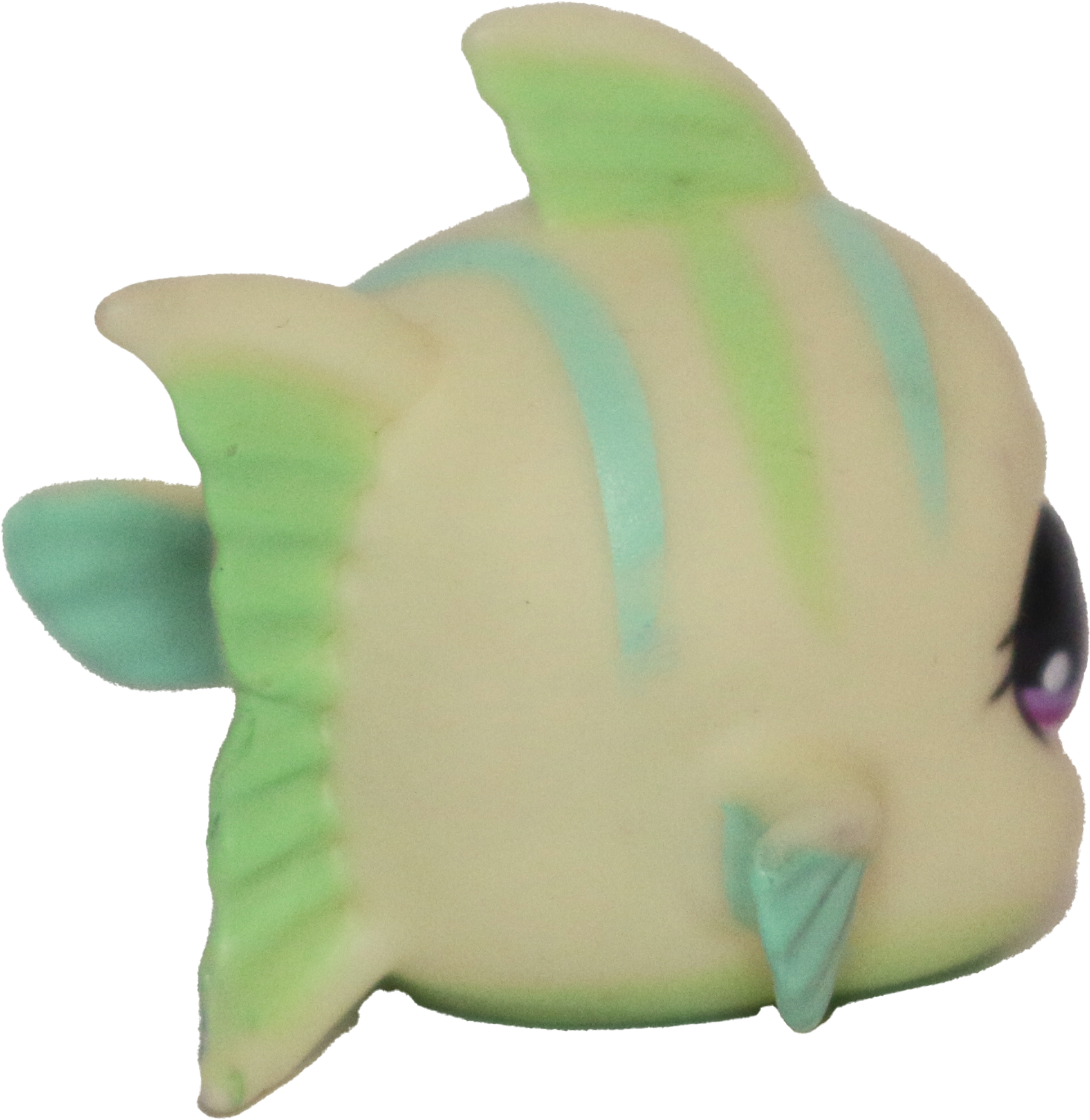#0519 Fish