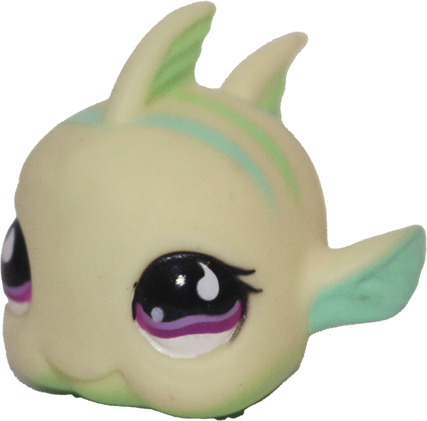#0519 Fish