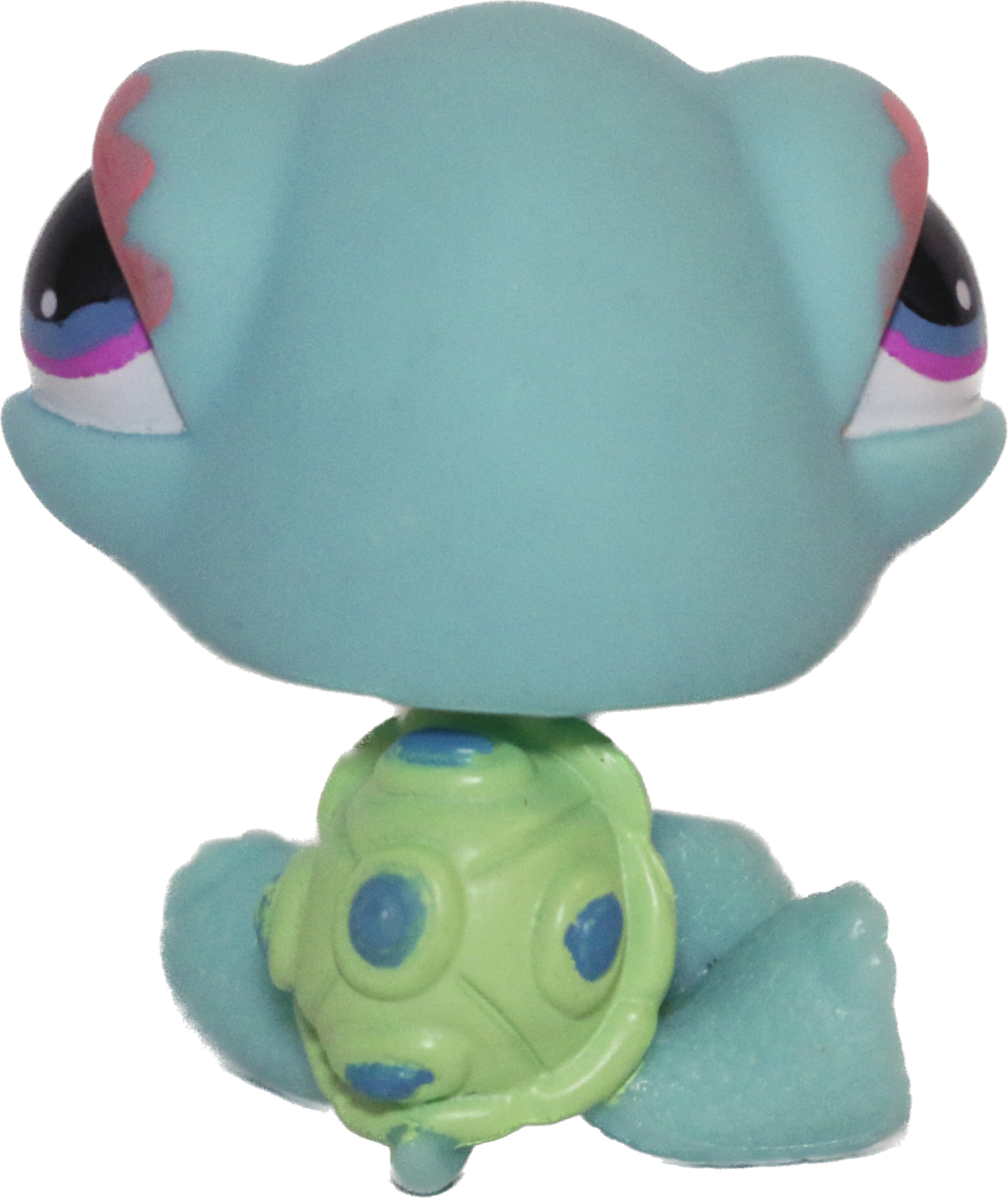 #0522 Turtle