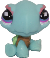 #0522 Turtle
