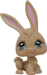 #0531 Rabbit