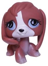 #0567 Beagle