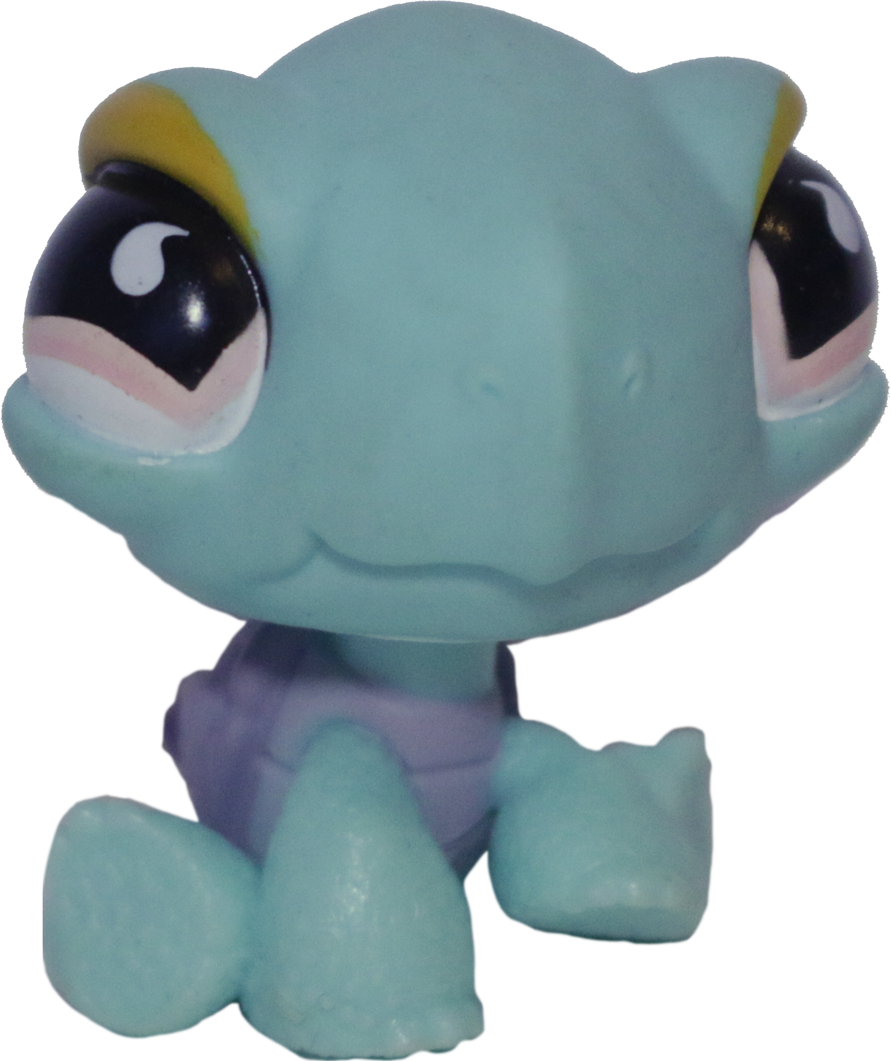 #0601 Turtle