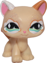 #0626 Destiny Cat
