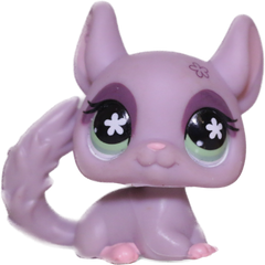 #0630 Chinchilla