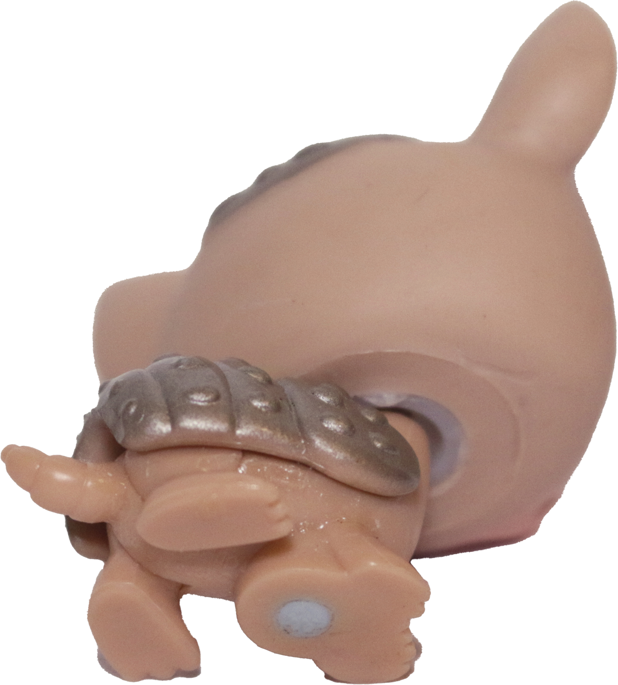 #0638 Armadillo