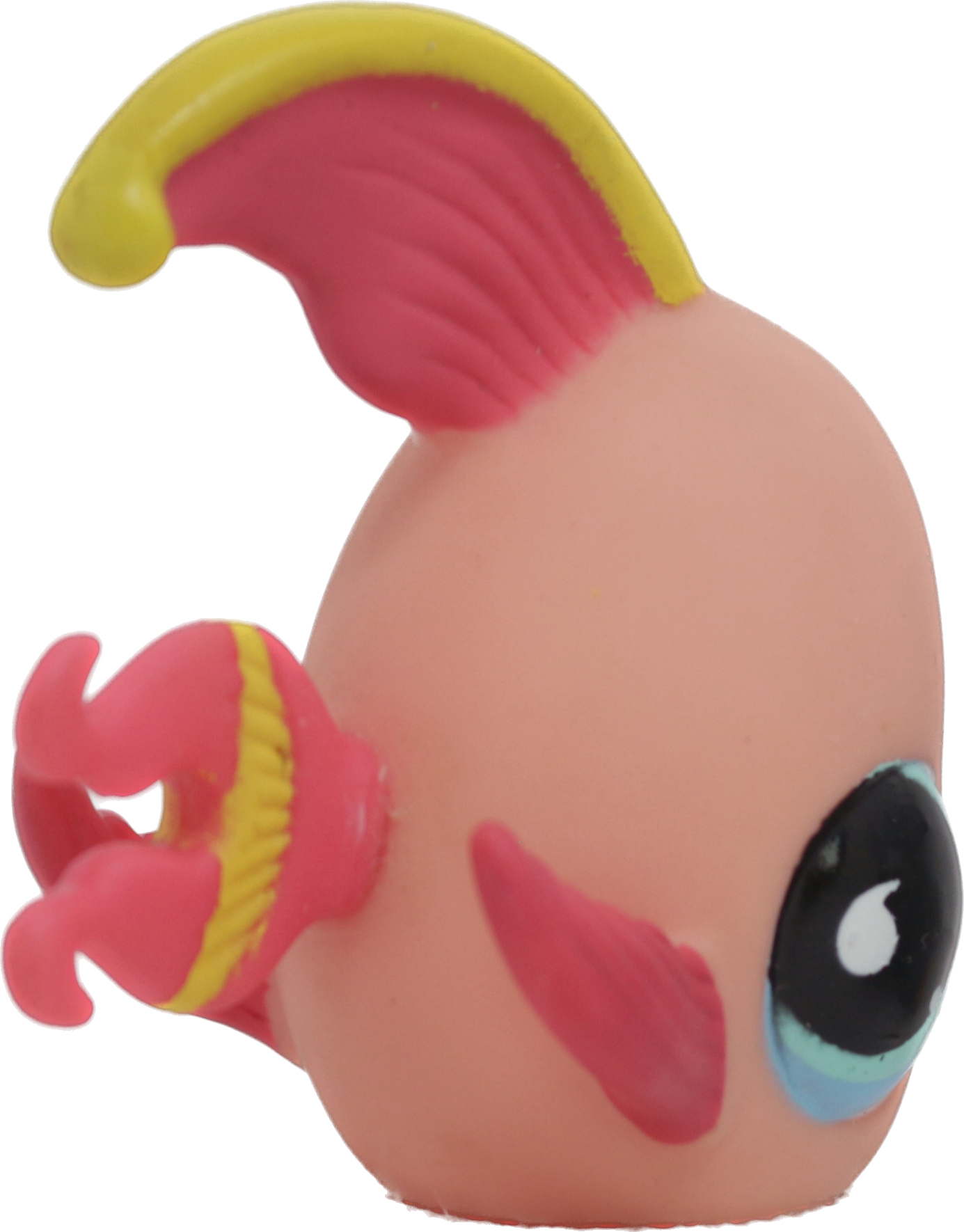 #0643 Angelfish