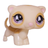 #0653 Ferret