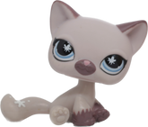 #0664 Sitting Cat