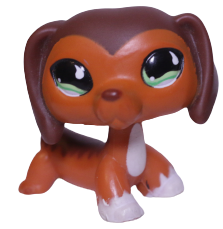 #0675 Dachshund