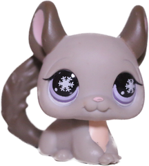 #0687 Chinchilla
