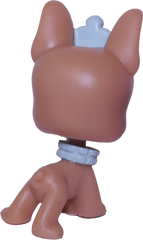 #0691 French Bulldog