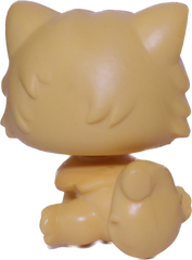 #0692 Persian Cat