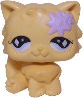 #0692 Persian Cat