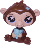 #0697 Chimpanzee
