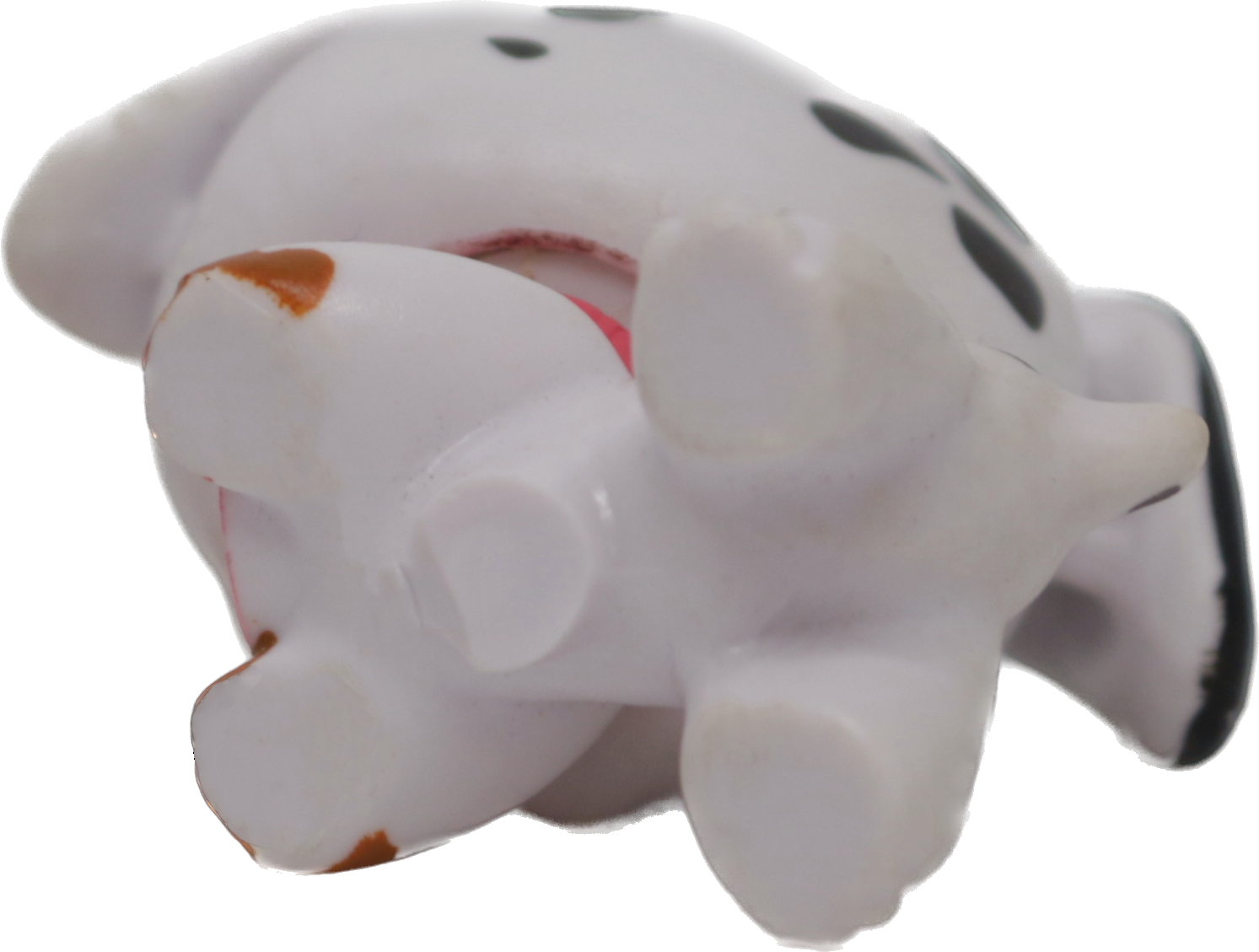 #0700 Dalmatian