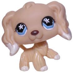 #0748 Cocker Spaniel