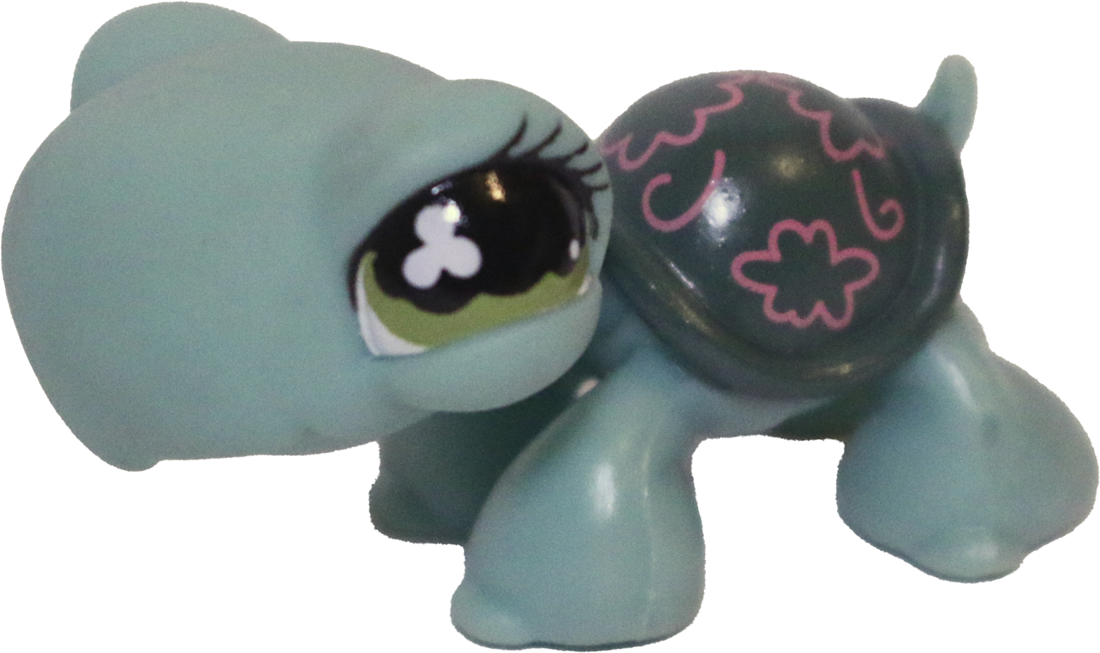 #0793 Turtle