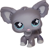 #0836 Chihuahua