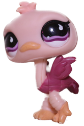 #0851 Ostrich