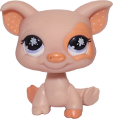 #0885 Pig