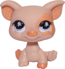 #0885 Pig