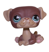 #0889 Pug