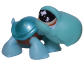 #0892 Turtle