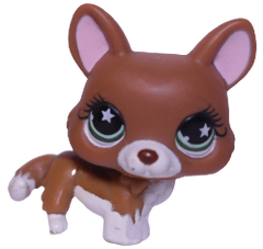 #0897 Corgi