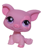 #0926 Pig